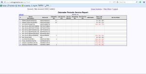 Mielage service report